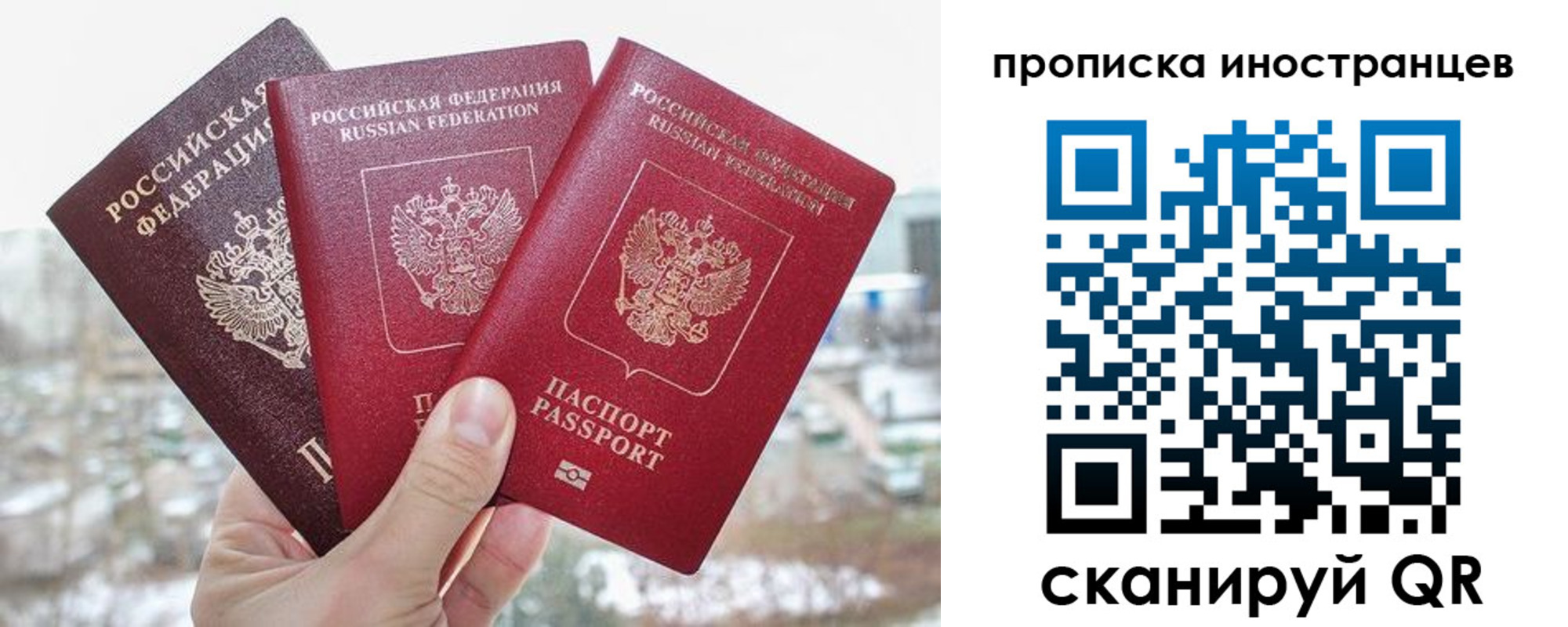временная регистрация поиск в Красном Куте